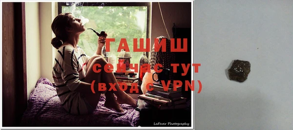 прущие грибы Сатка