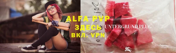 гашик Аркадак