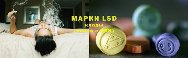 каннабис Арсеньев
