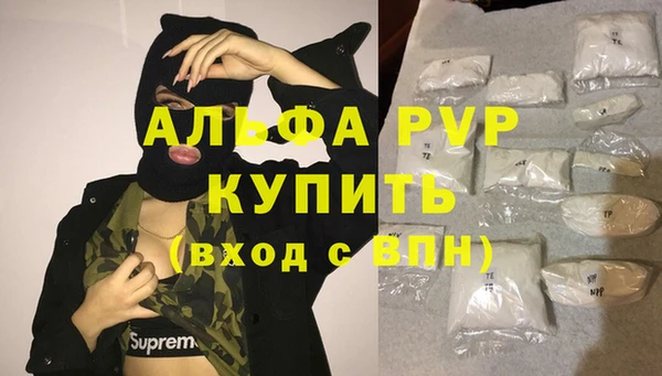 гашик Аркадак