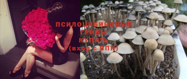 каннабис Арсеньев