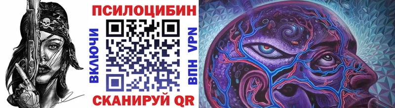 Псилоцибиновые грибы Psilocybe  Сычёвка 